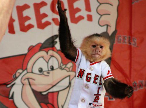 a5009d05d1fae5e10990626f1f7e3204