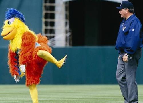 sdchicken_crop_north